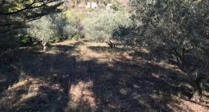 La Roquebrussanne Maison neuve - 2281346-10025annonce320250923QPl6b.jpeg PCA Maisons