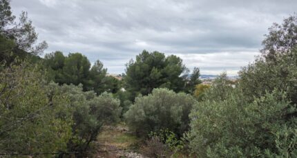 Toulon Maison neuve - 2334557-10025annonce520251111uQXGb.jpeg PCA Maisons