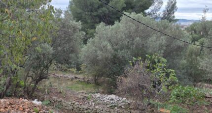 Toulon Maison neuve - 2334557-10025annonce220251111IWped.jpeg PCA Maisons