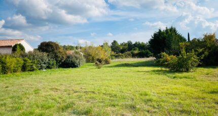 Garéoult Terrain à bâtir - 2306377-10025annonce5202510159q6oC.jpeg PCA Maisons