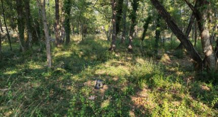 Trans-en-Provence Terrain à bâtir - 2308359-10025annonce120251016aA0J7.jpeg PCA Maisons