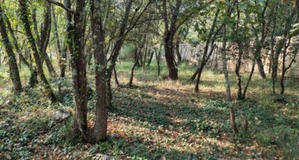 Trans-en-Provence Maison neuve - 2308364-10025annonce320251016HX7Pr.jpeg PCA Maisons