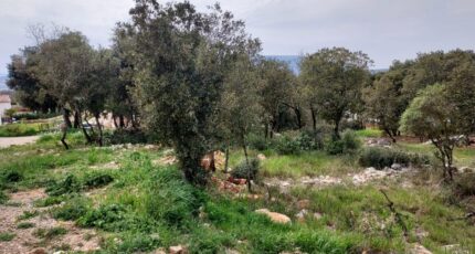 Tourves Terrain à bâtir - 2265221-9879annonce120250909dvtUg.jpeg PCA Maisons