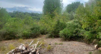 Camps-la-Source Maison neuve - 2328372-10025annonce220251103oJXN7.jpeg PCA Maisons