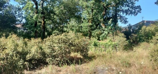 Maison neuve à , Var