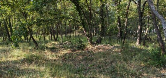 Terrain à bâtir à , Var