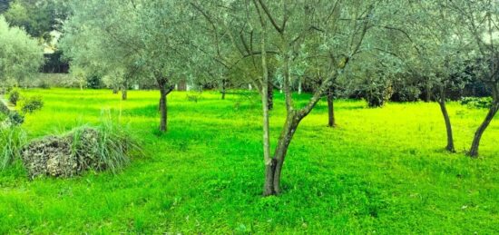 Terrain à bâtir à , Var