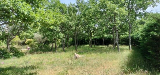 Terrain à bâtir à Le Cannet-des-Maures, Provence-Alpes-Côte d'Azur