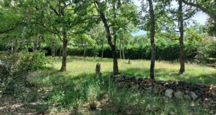 Le Cannet-des-Maures Terrain à bâtir - 2356413-9891annonce420251203t7yX6.jpeg PCA Maisons