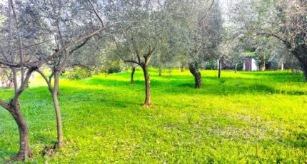 Draguignan Maison neuve - 2355030-10025annonce420251202s3N36.jpeg PCA Maisons