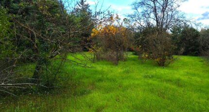 Saint-Maximin-la-Sainte-Baume Terrain à bâtir - 2356358-10025annonce120251203yp2BJ.jpeg PCA Maisons