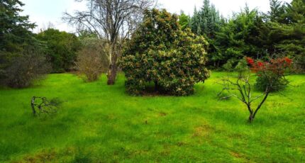 Saint-Maximin-la-Sainte-Baume Terrain à bâtir - 2356358-10025annonce120251203VO3uv.jpeg PCA Maisons