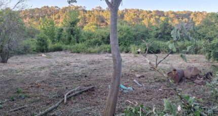 Carnoules Maison neuve - 2298246-10025annonce720251008QHfc0.jpeg PCA Maisons