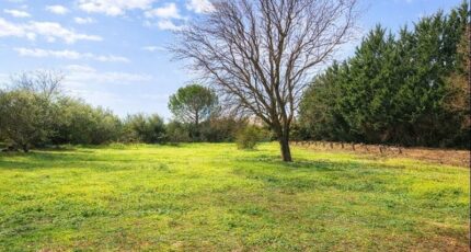 Tavernes Maison neuve - 2382750-9879annonce220260105wy3lH.jpeg PCA Maisons