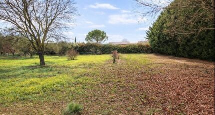 Tavernes Maison neuve - 2382750-9879annonce320260105vZDlT.jpeg PCA Maisons