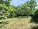 Terrain à bâtir à Le Cannet-des-Maures (83340) 2356413-9891annonce120251203gqWkz.jpeg PCA Maisons