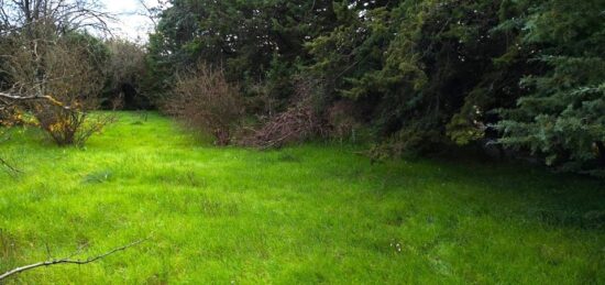 Terrain à bâtir à Saint-Maximin-la-Sainte-Baume, Provence-Alpes-Côte d'Azur