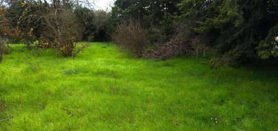 Terrain à bâtir à , Var