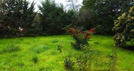 Saint-Maximin-la-Sainte-Baume Terrain à bâtir - 2356358-10025annonce320251203Mk47w.jpeg PCA Maisons