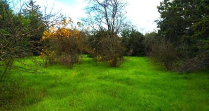 Saint-Maximin-la-Sainte-Baume Terrain à bâtir - 2356358-10025annonce320251203DzG2E.jpeg PCA Maisons