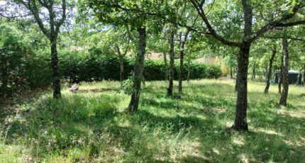 Le Cannet-des-Maures Maison neuve - 2356414-9891annonce520251203ez6nR.jpeg PCA Maisons