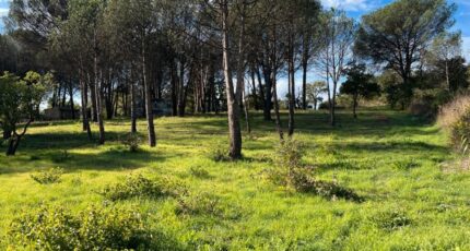 Grimaud Maison neuve - 2385629-9891annonce620260108qm2Er.jpeg PCA Maisons