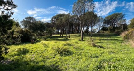 Grimaud Maison neuve - 2385629-9891annonce1020260108M1d2d.jpeg PCA Maisons