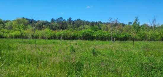 Terrain à bâtir à , Var