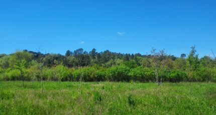 Tourves Maison neuve - 2387061-9879annonce320260109DgOht.jpeg PCA Maisons