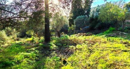 Toulon Terrain à bâtir - 2339828-10025annonce320251121pGEDL.jpeg PCA Maisons