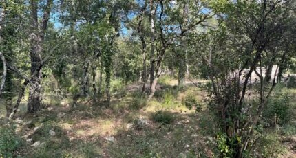 La Roquebrussanne Maison neuve - 2281346-10025annonce7202509236T5qs.jpeg PCA Maisons