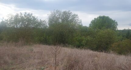 Montmeyan Terrain à bâtir - 2391194-9879annonce320260113WkACB.jpeg PCA Maisons