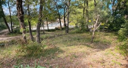 Garéoult Terrain à bâtir - 2307522-10025annonce320251016q8CCN.jpeg PCA Maisons