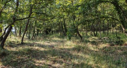 Trans-en-Provence Maison neuve - 2308364-10025annonce120251016hPmg8.jpeg PCA Maisons