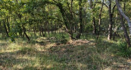 Trans-en-Provence Maison neuve - 2308364-10025annonce720251016degxF.jpeg PCA Maisons