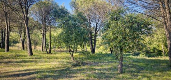 Terrain à bâtir à , Var