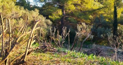 Toulon Maison neuve - 2339840-10025annonce520251120cwG4w.jpeg PCA Maisons