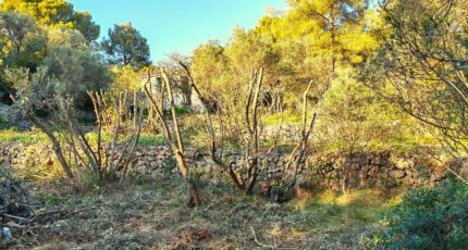 Toulon Maison neuve - 2339840-10025annonce420251121MFwka.jpeg PCA Maisons