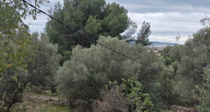 Toulon Maison neuve - 2334557-10025annonce320251111l32r2.jpeg PCA Maisons