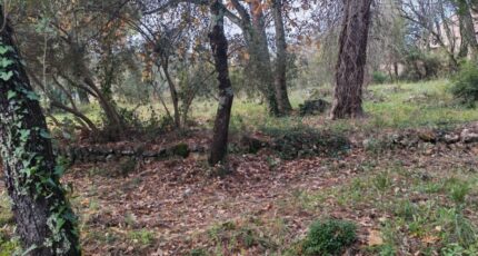 Lorgues Terrain à bâtir - 2371931-10025annonce320251218nf5LT.jpeg PCA Maisons