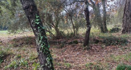 Lorgues Terrain à bâtir - 2371931-10025annonce520251218VCFrS.jpeg PCA Maisons