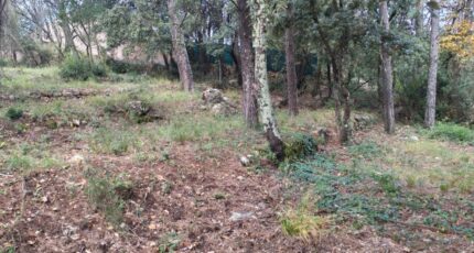 Lorgues Terrain à bâtir - 2371931-10025annonce120251218UPXOM.jpeg PCA Maisons