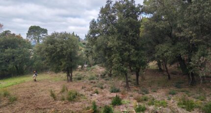 Taradeau Terrain à bâtir - 2372327-10025annonce120251218bSTv9.jpeg PCA Maisons