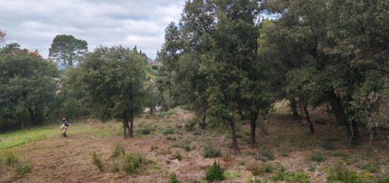 Terrain à bâtir à Taradeau, Provence-Alpes-Côte d'Azur