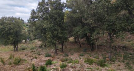 Taradeau Terrain à bâtir - 2372327-10025annonce420251218IMDMB.jpeg PCA Maisons