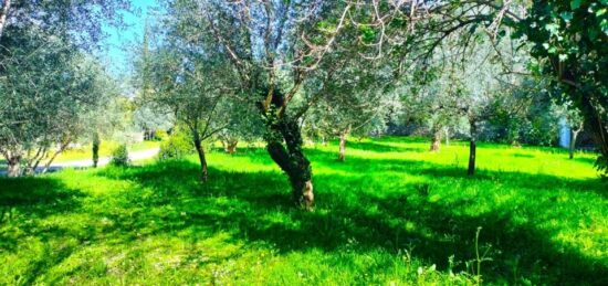 Terrain à bâtir à Draguignan, Provence-Alpes-Côte d'Azur