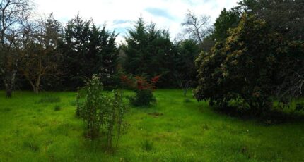 Saint-Maximin-la-Sainte-Baume Maison neuve - 2356377-10025annonce2202512030XS6W.jpeg PCA Maisons