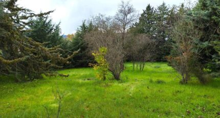 Saint-Maximin-la-Sainte-Baume Maison neuve - 2356377-10025annonce420251203wBbdN.jpeg PCA Maisons