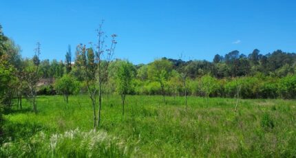 Tourves Maison neuve - 2387061-9879annonce420260109sZZv9.jpeg PCA Maisons