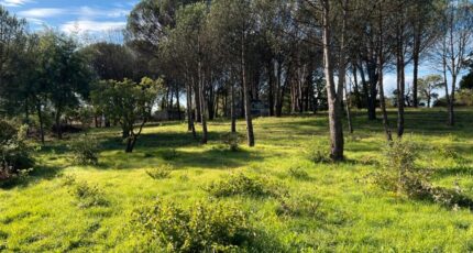 Grimaud Terrain à bâtir - 2385626-9891annonce220260108FZpgT.jpeg PCA Maisons